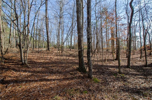 view of local wilderness