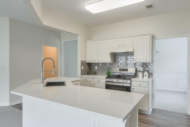 502 Helene Ct, Woodstock, GA 30188 - kitchen featuring stainless steel gas range, a sink, white cabinetry, and light countertops