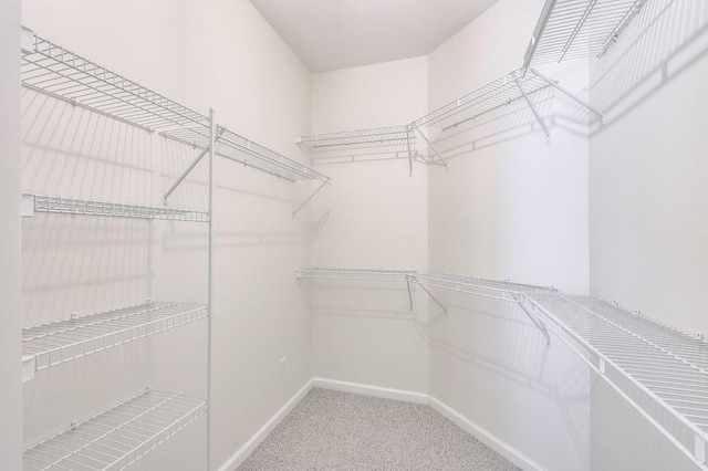 502 Helene Ct, Woodstock, GA 30188 - spacious closet with carpet