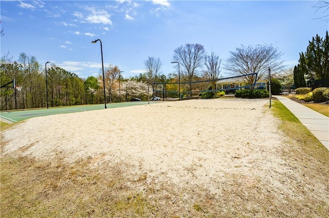 502 Helene Ct, Woodstock, GA 30188 - surrounding community with volleyball court