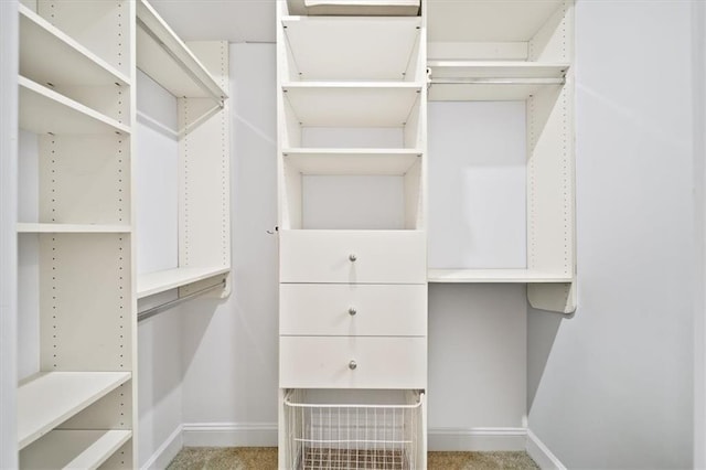 walk in closet with carpet