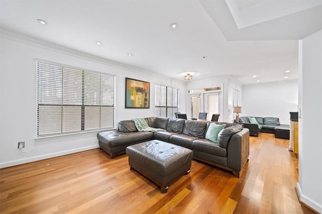 living room featuring ornamental molding and light hardwood / wood-style flooring