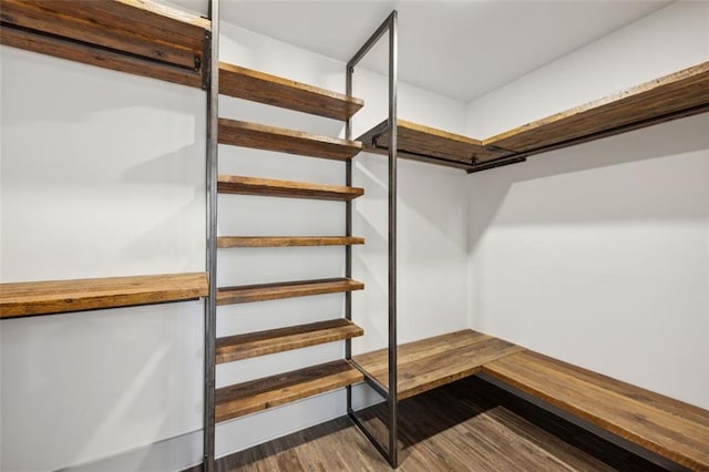 walk in closet with wood finished floors