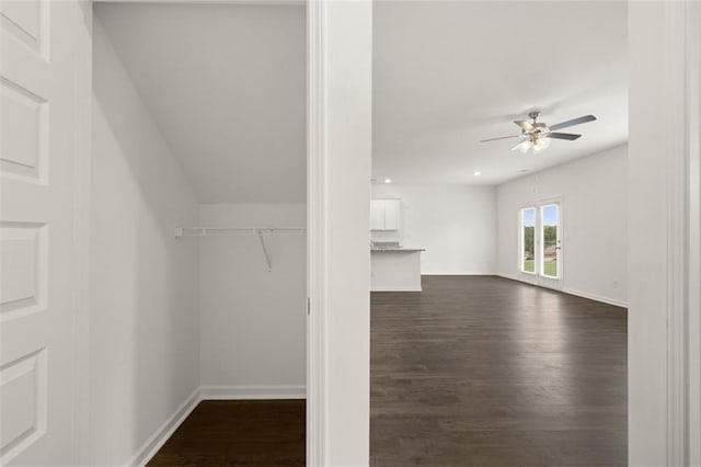 spacious closet featuring ceiling fan and dark hardwood / wood-style flooring