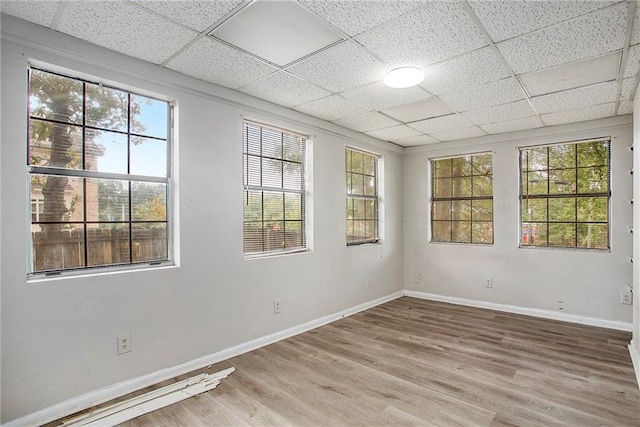 empty room with hardwood / wood-style floors and a paneled ceiling