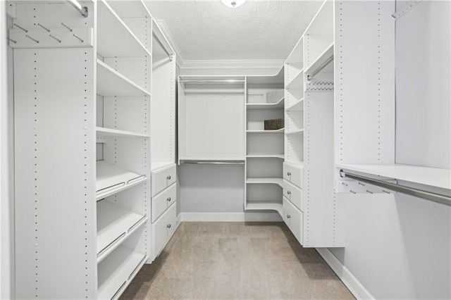 255 Broken Lance Pl, Johns Creek, GA 30022 - walk in closet featuring carpet flooring