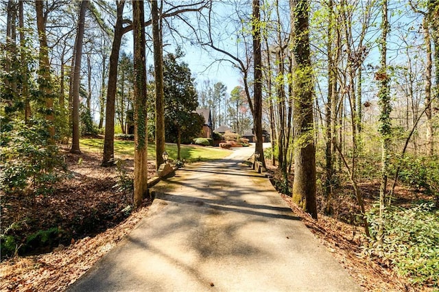 view of road with aphalt driveway