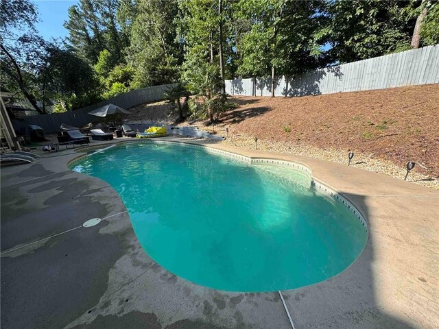 view of swimming pool with a fenced backyard and a patio