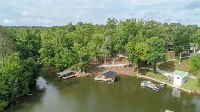 210 Lake Pines Rd, Jackson, GA 30233 - bird's eye view of a large body of water and a forest