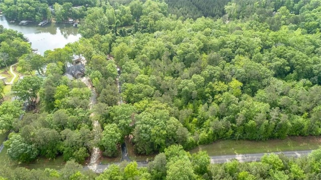 210 Lake Pines Rd, Jackson, GA 30233 - view of property location featuring a forest and a nearby body of water