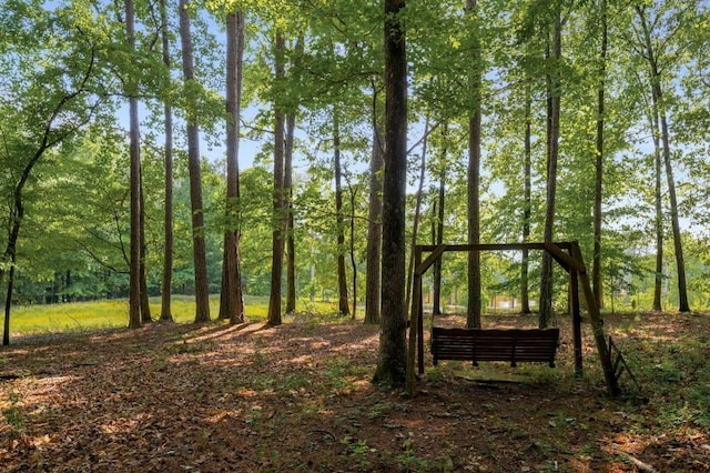 view of undeveloped land