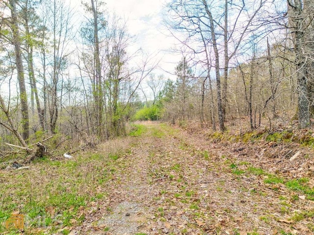 Listing photo 3 for 0 Moran Lk, Rome GA 30161