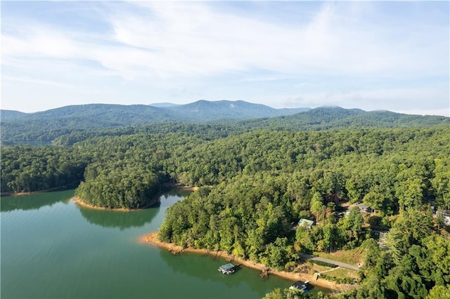 aerial view featuring a view of trees and a water and mountain view