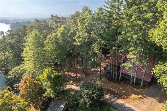 bird's eye view featuring a mountain view and a forest view