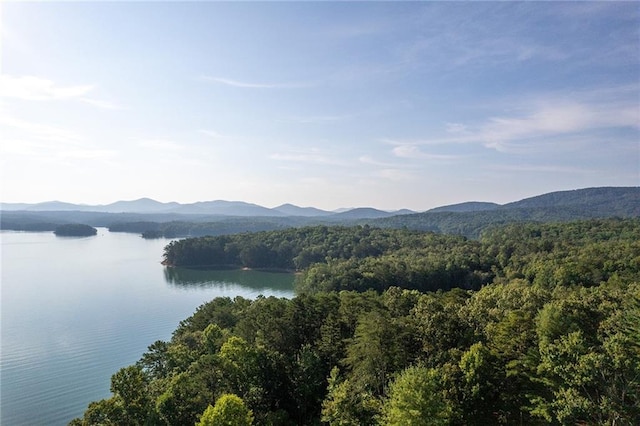 property view of water with a wooded view and a mountain view