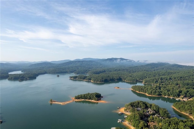 property view of water with a mountain view and a wooded view