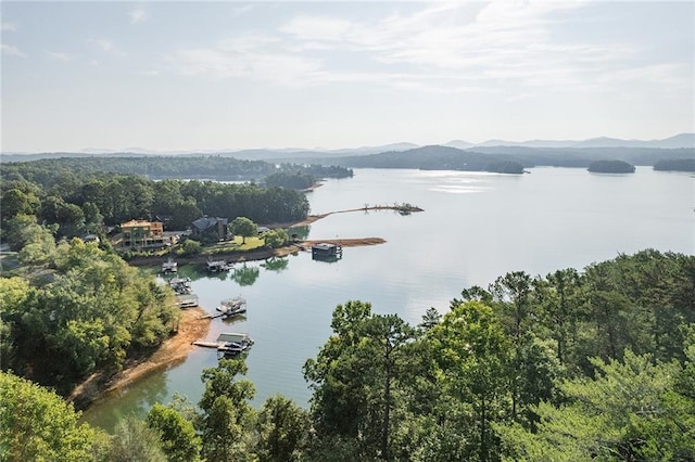 water view featuring a mountain view and a boat dock