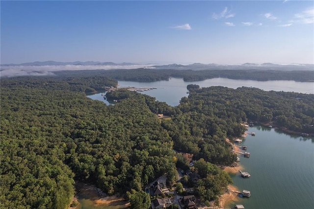 aerial view featuring a wooded view and a water view