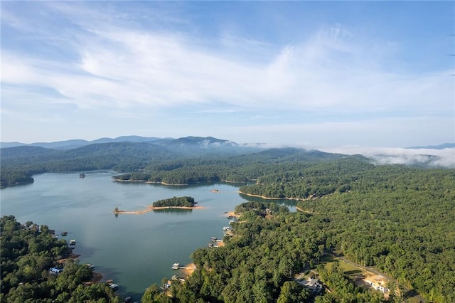 drone / aerial view with a forest view and a water and mountain view