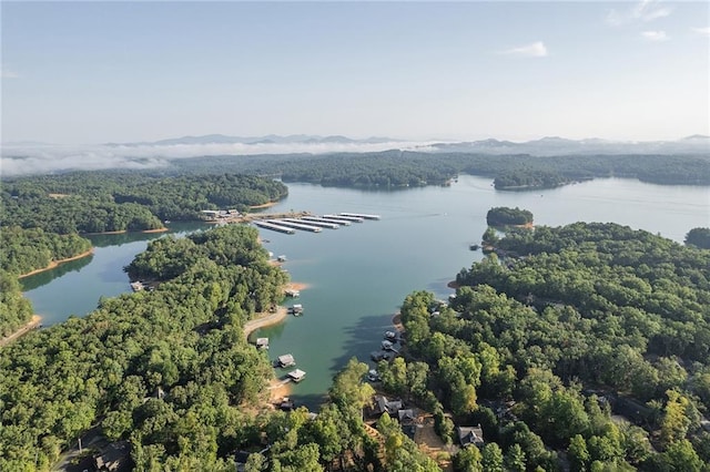 birds eye view of property with a forest view and a water view