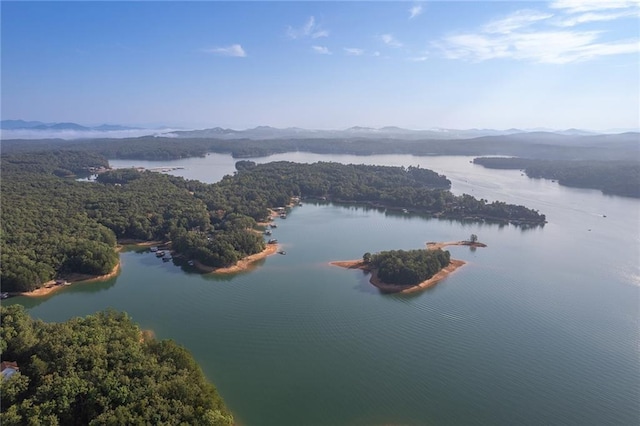 drone / aerial view with a forest view and a water and mountain view