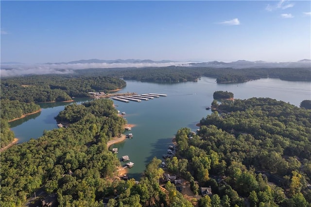 aerial view featuring a forest view and a water view