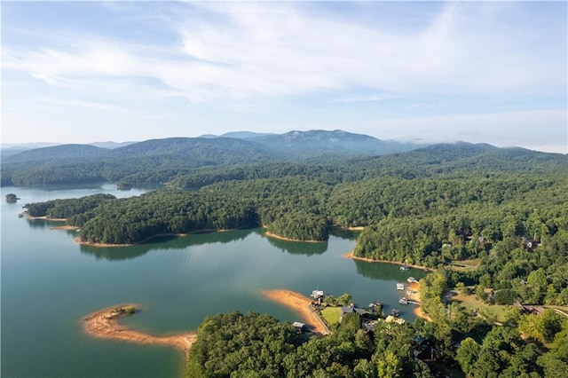 bird's eye view featuring a view of trees and a water and mountain view