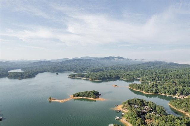 property view of water featuring a view of trees and a mountain view