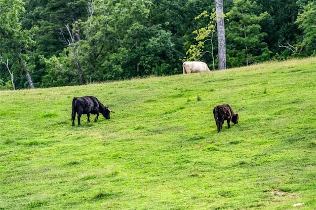 surrounding community featuring a rural view