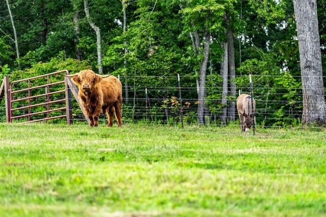 view of horse barn