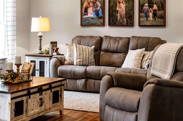 living room featuring wood-type flooring