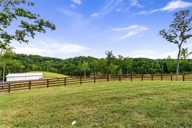 view of yard featuring a rural view