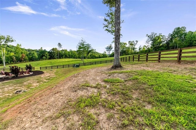 view of yard featuring a rural view