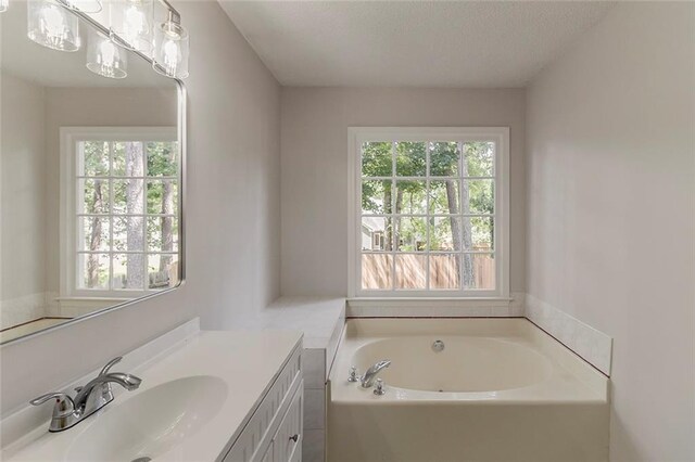 3614 Spring Leaf Ln, Acworth, GA 30101 - bathroom with plenty of natural light, vanity, a garden tub, and a textured ceiling