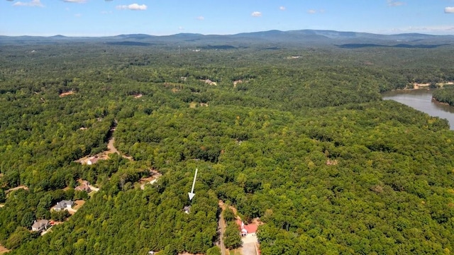 birds eye view of property featuring a water and mountain view