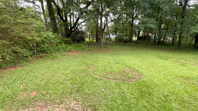 5924 Central Church Rd, Douglasville, GA 30135 - view of green lawn