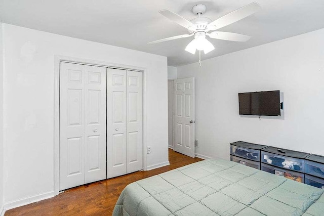 bedroom featuring a closet, hardwood / wood-style floors, and ceiling fan