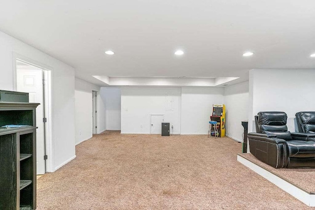 basement featuring carpet