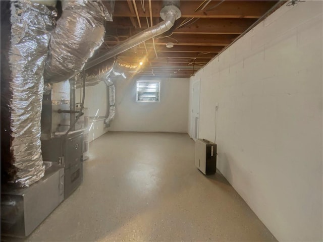 2217 Troutdale Dr, Decatur, GA 30032 - view of below grade area