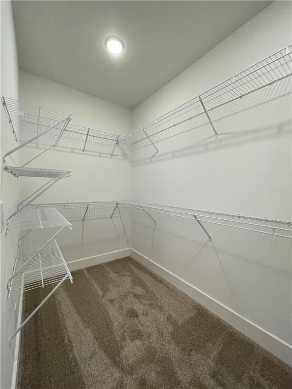 3605 Garden Lakes Pkwy NW, Rome, GA 30165 - spacious closet with carpet flooring