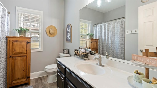 bathroom with vanity, toilet, and wood-type flooring