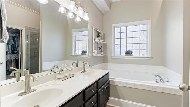 bathroom with vanity, plenty of natural light, and a shower with shower door