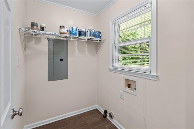 156 Ridgeway St, Winder, GA 30680 - laundry room with electric panel, baseboards, washer hookup, ornamental molding, and dark wood-style floors
