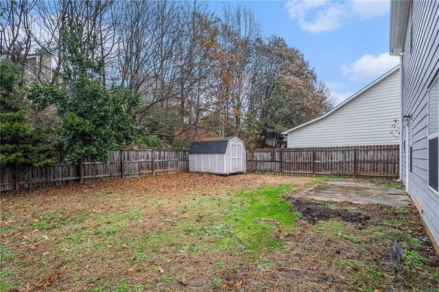 view of yard with a patio area and a storage shed