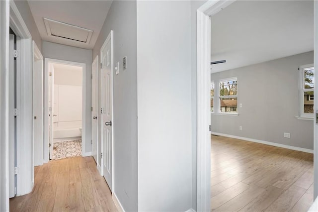hallway featuring baseboards, attic access, and light wood-type flooring