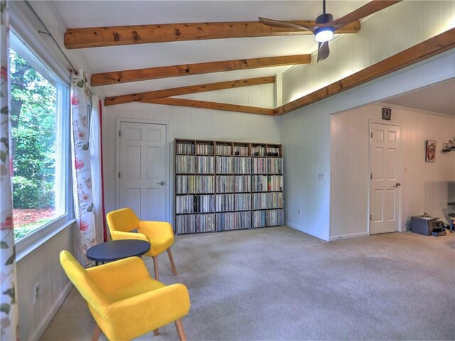 sitting room with vaulted ceiling with beams, carpet, ceiling fan, and a wealth of natural light