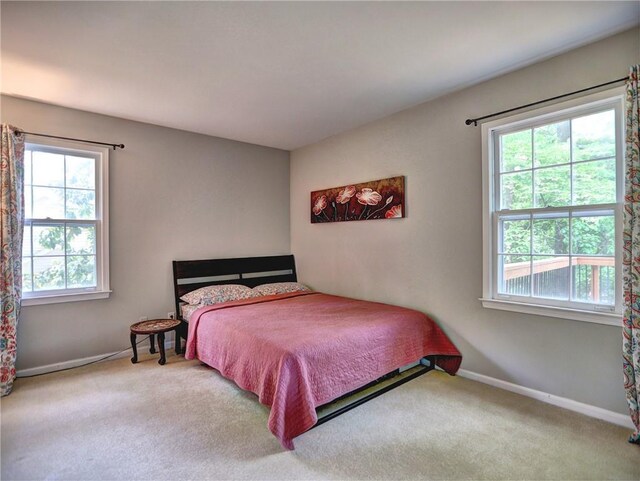 bedroom featuring carpet floors, baseboards, and multiple windows