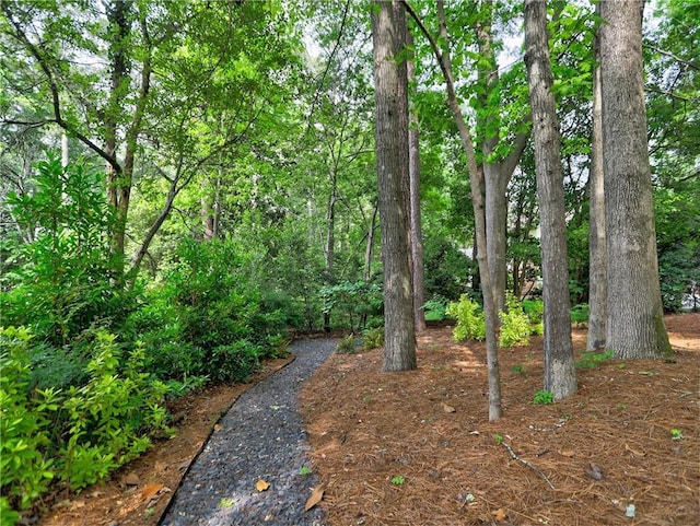 1257 Independence Way, Marietta, GA 30062 - view of yard