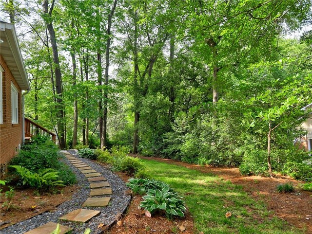view of yard