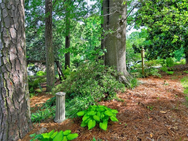 1257 Independence Way, Marietta, GA 30062 - view of local wilderness